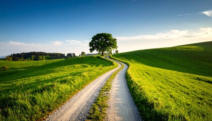 Obraz premium Winding road through lush green landscape