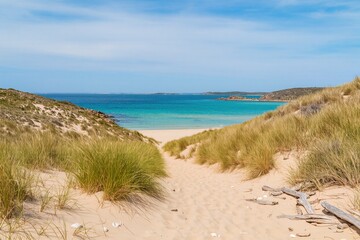 Sandy beach dunes with tall green grass stretch along the vibrant coastline under a bright blue summer sky