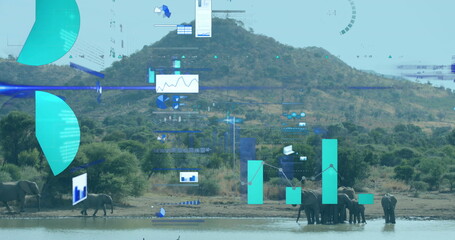 Gathering herd of elephants drinking at waterhole by shrub-covered hill, with digital overlays