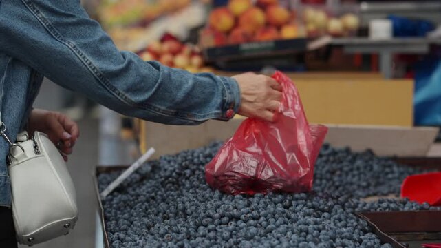 Buying blueberries at the market. A woman buys berries at a local market. The customer pays in cash. A seller gives a buyer a bag of berries.