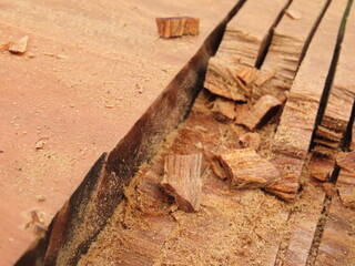 Wood plank with cuts that are being broken by the use of a chisel. Peroba wood plank with grooves. Wooden board with cuts to make a halving joint.