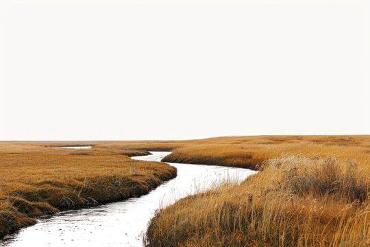 Silence river and yellow grass field landscape nature ground outdoors.