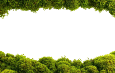 Moss border framing a black oval