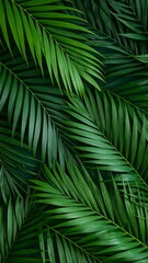 Close-up of vibrant tropical palm fronds