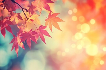 Obraz premium Autumn background with red maple leaves and blurred bokeh light on a vintage color tone background leaf autumn fall.