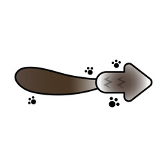 cat tail arrow

