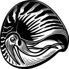 Vector art of detailed black and white drawing of a butterfly isolated on white background