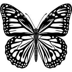 Vector art of ladybug insect vector illustration isolated on white background