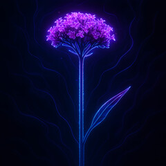 Electric Neon Verbena Bonariensis Flower with Blue Glow