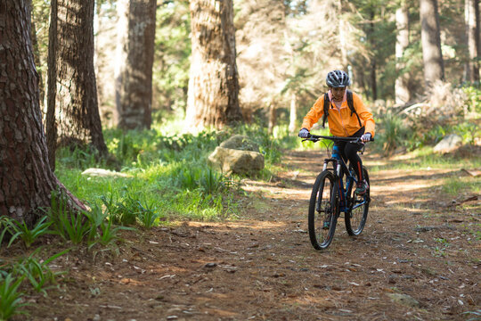 Woman cyclist riding mountain bike on forest trail wearing jacket, helmet and backpack, copy space