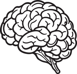 Black and white outline drawing of a human brain head