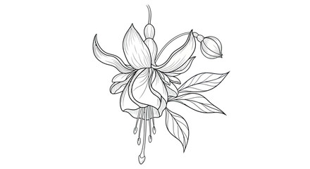 Floral Vector Illustration with Detailed Botanical Elements in Minimalist Black and White Style