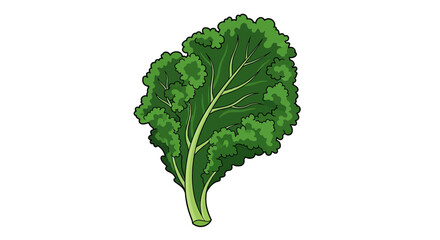 Minimalist Kale Leaf Vector Illustration with Green Organic Shapes