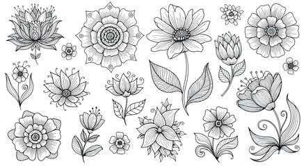 Floral Vector Illustration Set with Hand Drawn Botanical Elements in Black and White Sketch Style