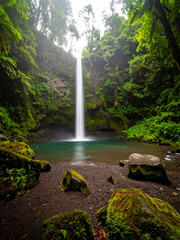 Serene Tropical Waterfall with Soft Mist and Sunlight Filtering Through Lush Green Canopy