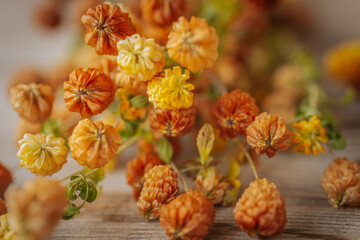 A bouquet of small, dried orange and yellow flowers scattered on a wooden surface. Warm tones, delicate textures and a soft, natural atmosphere.