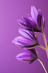 Fototapeta premium Purple Flower Closeup Deep Violet Petals Background