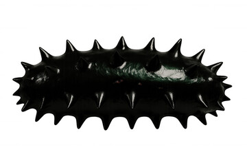 3d rendering of a black spiky virus, isolated on transparent background, perfect for scientific or medical projects