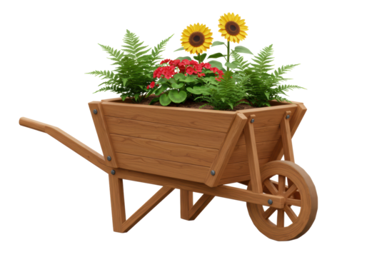 Isolated Floral Filled Wooden Wheelbarrow with Sunflower Accents