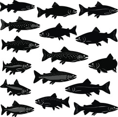 Create a kinds of deferent fish, sea, animal, fishing, vector, silhouette, illustration, water, cartoon, ocean, nature, salmon, marine, food vector art with white background.