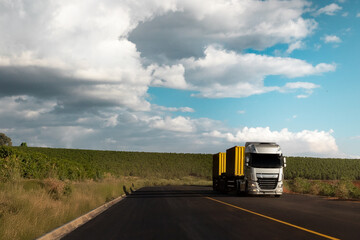 Caminhão cinza com container amarelo viajando pelas estradas do brasil com platanção de café na...