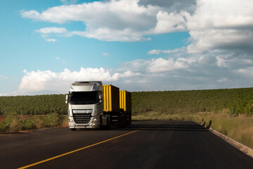 Caminhão cinza com container amarelo viajando pelas estradas do brasil com platanção de café na beira da estrada