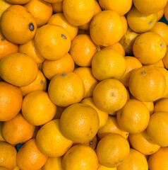 Ripe and juicy oranges in the market close-up