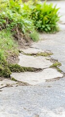 Obraz premium Close-up of a rustic stone pathway adorned with vibrant green moss and lush foliage, evoking serene natural beauty and organic growth in a tranquil garden.