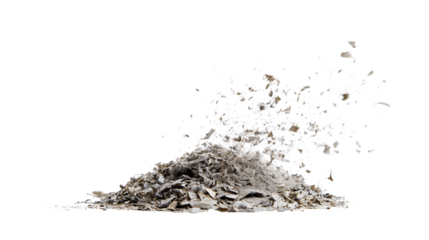 A white background photo of ash collector, white background --ar 16:9