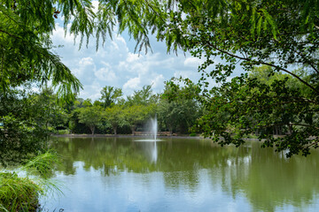 fountain on the pond in the park seen through the trees and beautiful cloudy sky