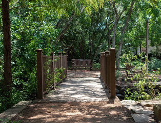 wooden bridge in the park leading to a bench