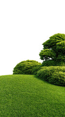 Lush green lawn with bushes and trees