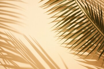 Obraz premium Palm leaves shadow on sand backgrounds sunlight outdoors.