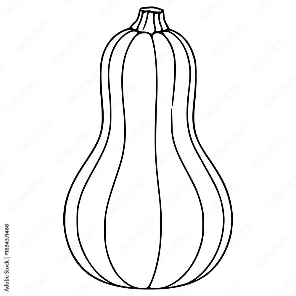 Poster a vector illustration of a butternut squash, featuring a detailed line drawing style with distinct c