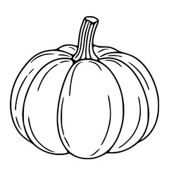 A detailed vector illustration of a single pumpkin with a meticulously drawn stem and ribbed texture, showcasing a minimalist black and white line art style.