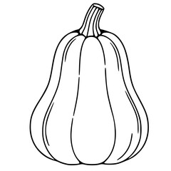 Elegant vector illustration of a single butternut squash with a detailed stem, showcasing a minimalist line art style perfect for autumnal designs.