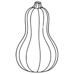 A vector illustration of a butternut squash, featuring a detailed line drawing style with distinct curved lines emphasizing its shape and texture.