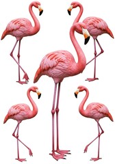 Obraz premium 紅色の楽園