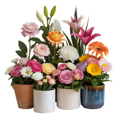 a collection of flowers, in various pots isolated on a transparent background