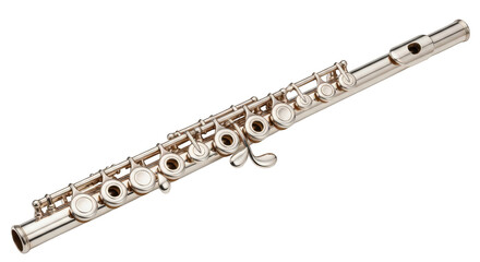 Fototapeta premium Gleaming silver flute against darkness