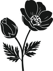 Anemone Flower and Bud Silhouette, Vector Illustration, Floral Design Element, Botanical, Nature, Isolated, White Background.