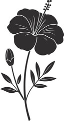 Hibiscus Flower Silhouette, Black and White, Line Art, Vector Illustration, Floral Design Element, Tropical, Botanical, Black and White Flower
