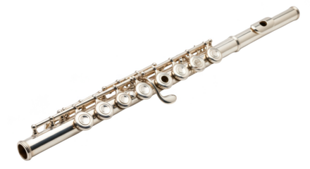 Silver Flute Gleaming Against Black