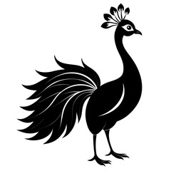 Fototapeta premium Vector art of elegant peacock isolated on white background, a beautiful illustration of a majestic bird