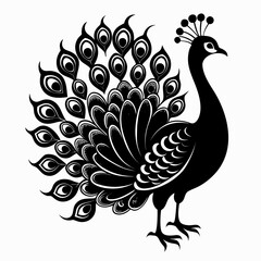 Fototapeta premium Vector art of graceful peacock silhouette with intricate feather details isolated on white background