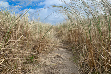 Enniscrone Beach, County Mayo, Ireland