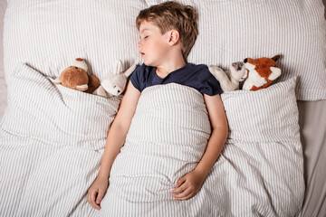 Cute little boy sleeping peacefully in bed, holding soft stuffed animals. Cozy childhood bedtime...