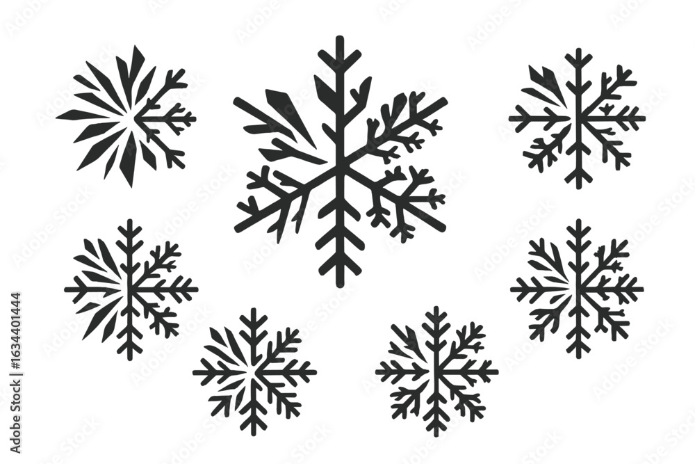 Poster various snowflake designs showcasing intricate patterns and shapes in black on a white background du