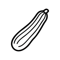 Courgette vegetable in simple line art style for food illustrations  