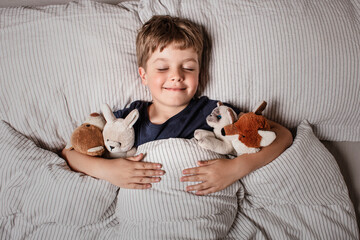 Cute little boy sleeping peacefully in bed, holding soft stuffed animals. Cozy childhood bedtime...